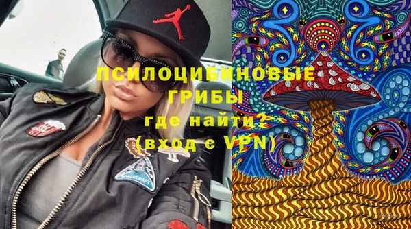 стафф Балабаново