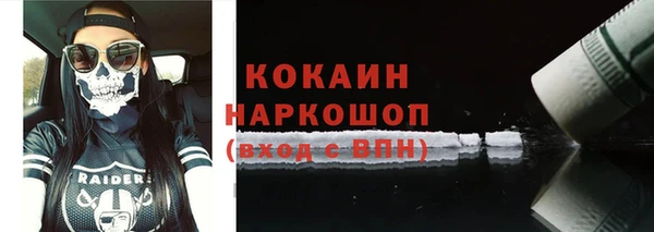 прущие грибы Баксан