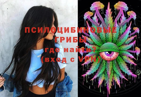 прущие грибы Баксан
