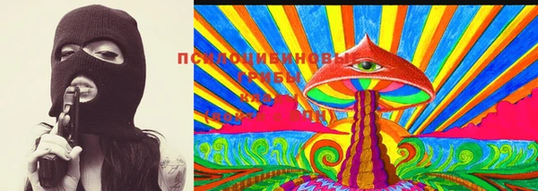 прущие грибы Баксан