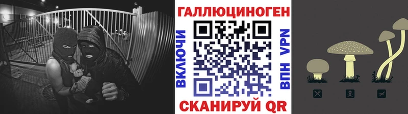 даркнет Telegram  Сунжа  Галлюциногенные грибы мицелий  где можно купить наркотик 