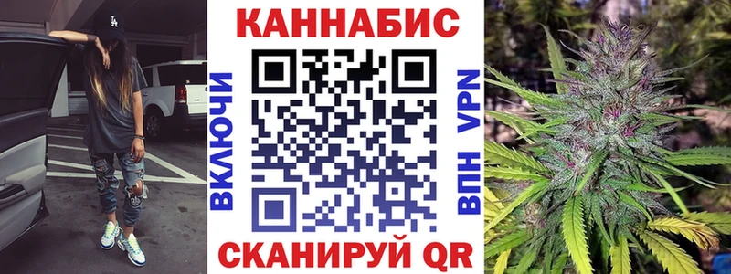 Конопля гибрид  Сунжа 